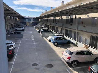 VEREDA CARPETANA 5