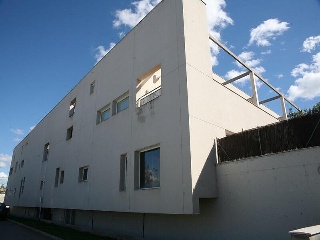 VEREDA CARPETANA 8