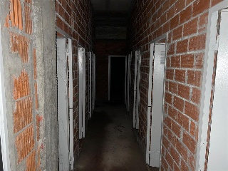 ALTA 19