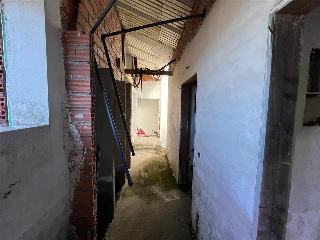 ALTA 21