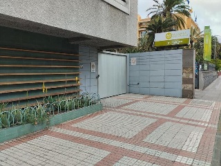 FEDERICO DE LEON 3