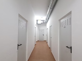 CEDEIRA 5