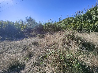 PARAJE HUERTA MOLINO O MORRO LES CANALS 5
