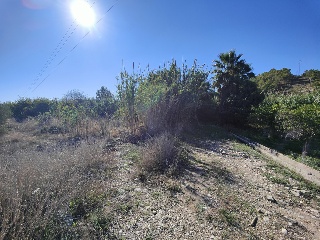 PARAJE GARGANES, HUERTA DEL MOLINO O MORRO DE LES 6