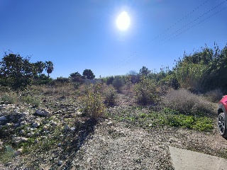 PARAJE GARGANES, HUERTA DEL MOLINO O MORRO DE LES 7