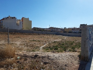 VICENTE CERVERA 2