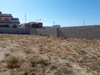VICENTE CERVERA 3