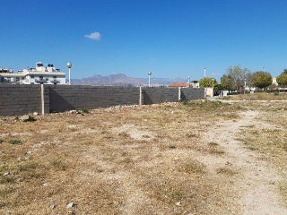 VICENTE CERVERA 4