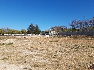 VICENTE CERVERA 5