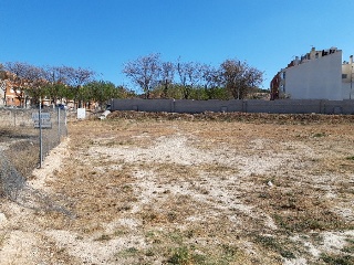 VICENTE CERVERA 11