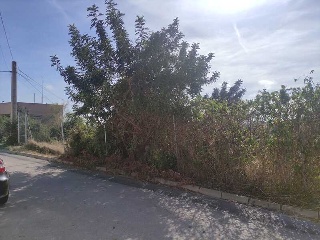 PUIG DE BASSEGODA 3