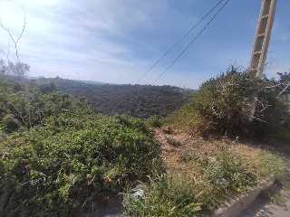 PUIG DE BASSEGODA 5