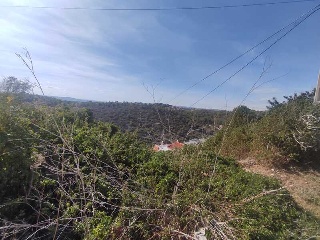 PUIG DE BASSEGODA 6