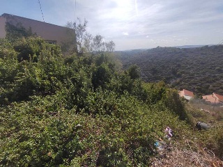 PUIG DE BASSEGODA 7
