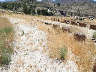 SANT BARTOMEU 5