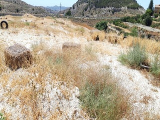 SANT BARTOMEU 6