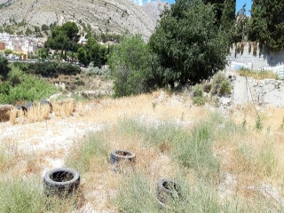 SANT BARTOMEU 7