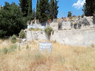 SANT BARTOMEU 8