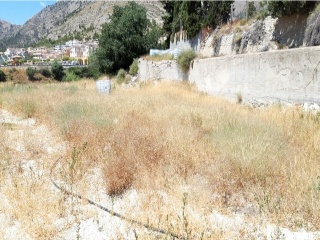 SANT BARTOMEU 9