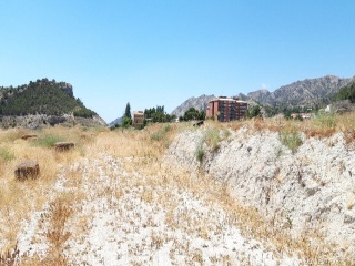 SANT BARTOMEU 12
