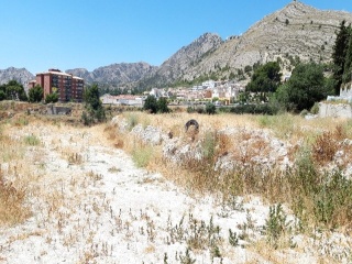 SANT BARTOMEU 13
