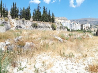 SANT BARTOMEU 15