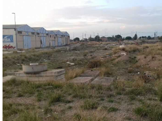 PRADOS DEL REY 5