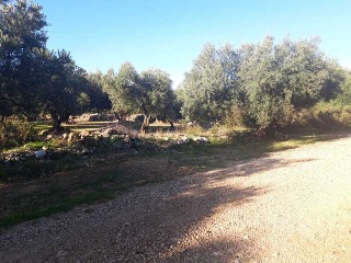 MAS DE CAQUE, POLIGONO 1, PARCELA 6