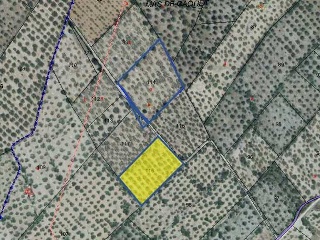 MAS DE CAQUE, POLIGONO 1, PARCELA 11