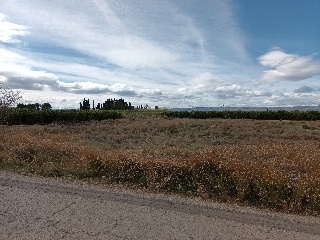 7. Parcela 2