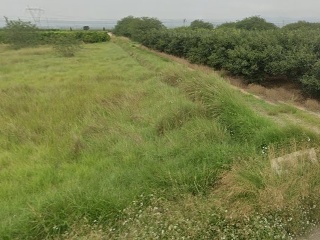 7. Parcela 5