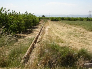 7. Parcela 7
