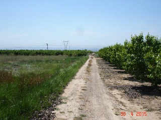 7. Parcela 8