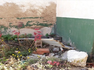 CINE VIEJO 3