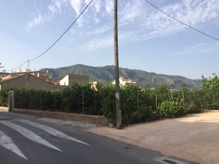 PM-SJ-1 (DISEMINADO SAN FERNANDO) 2
