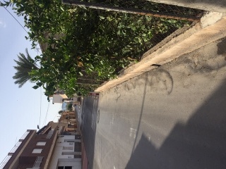 PM-SJ-1 (DISEMINADO SAN FERNANDO) 4