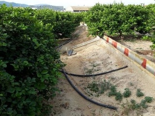 PM-SJ-1 (DISEMINADO SAN FERNANDO) 9