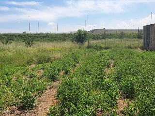 TERRABONA PARCELA 109 y 108 del PL Nº 13 2