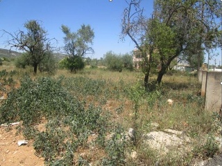 Otros en venta en Alcalà De Xivert