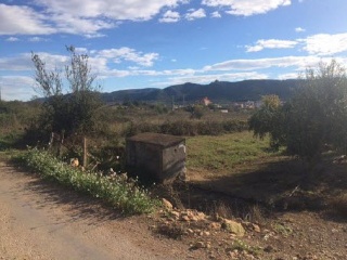 MAESTRAT EL 3