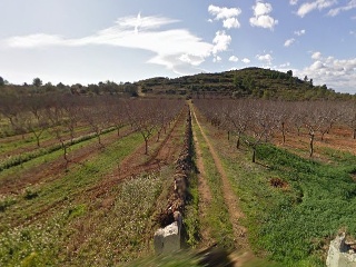 POLIGONO 39, PARTIDA COLL 3