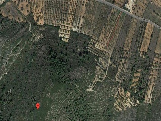 POLIGONO 39, PARTIDA COLL 4