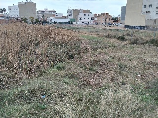 TRUNCHETES 3