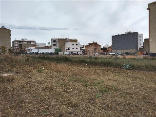 TRUNCHETES 7