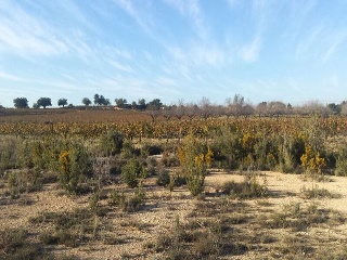 GUARRACH PARCELA 63-112 2