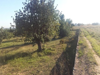 GUARRACH PARCELA 63-112 3