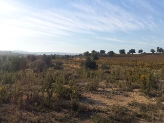 GUARRACH PARCELA 63-112 6