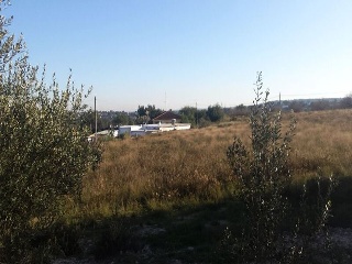 GUARRACH PARCELA 63-112 8