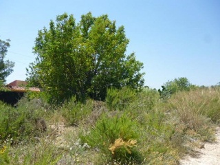 GUARRACH PARCELA 63-112 9