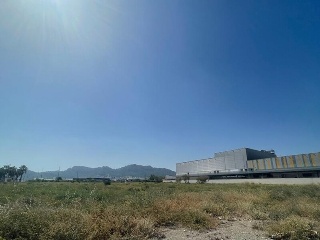 ANTIGUA SENDA DE CARCER 5